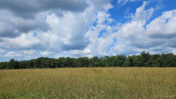 88 Acres of Land for Sale in Callicoon Center, New York