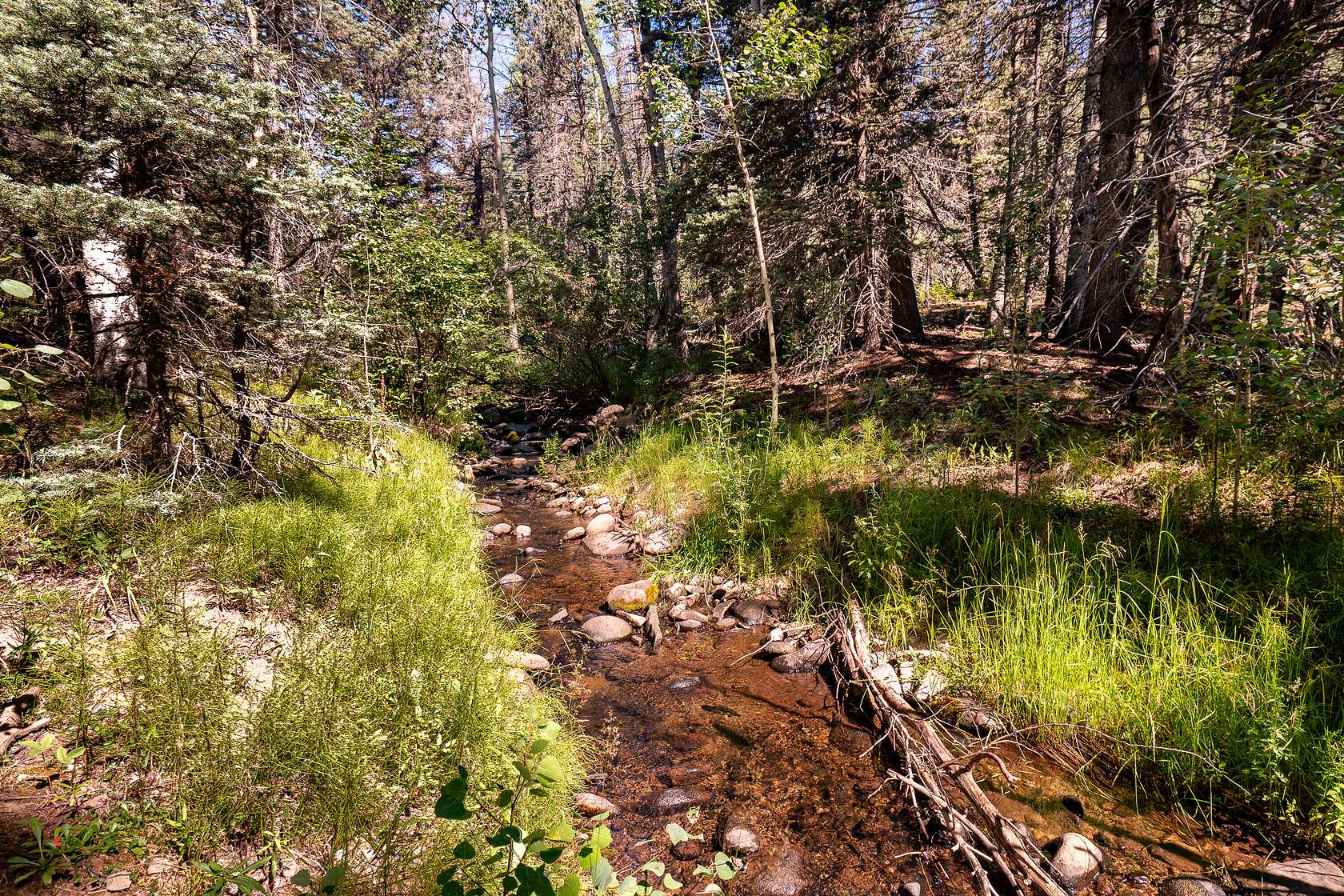 110 Acres of Land for Sale in Aguilar, Colorado