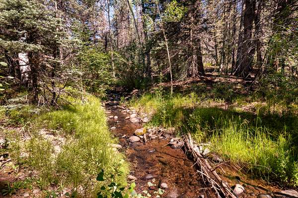 110 Acres of Land for Sale in Aguilar, Colorado