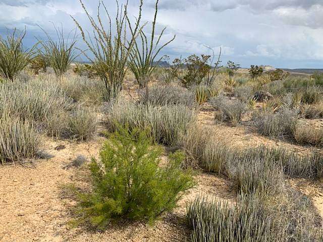 Land for Sale in Terlingua, Texas