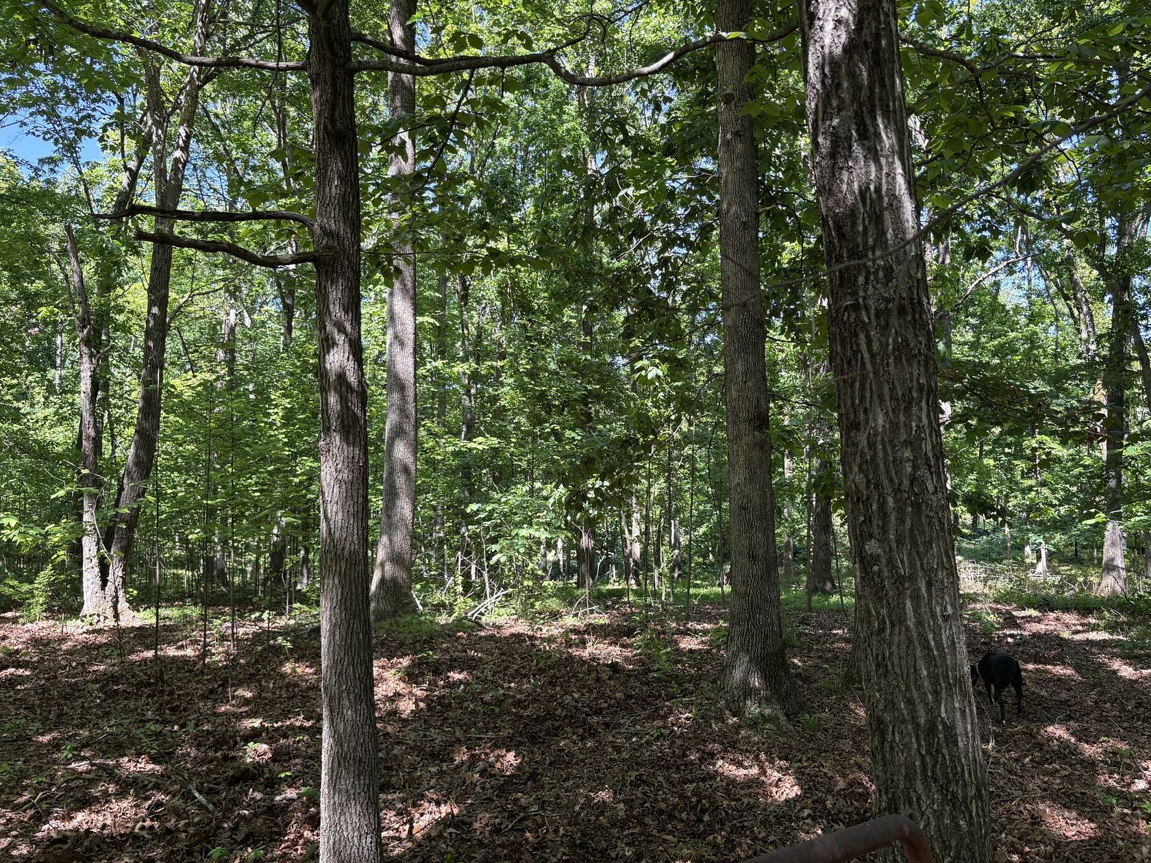 5.7 Acres of Residential Land for Sale in Portland, Tennessee