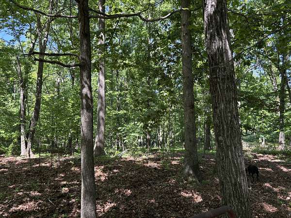 5.7 Acres of Residential Land for Sale in Portland, Tennessee