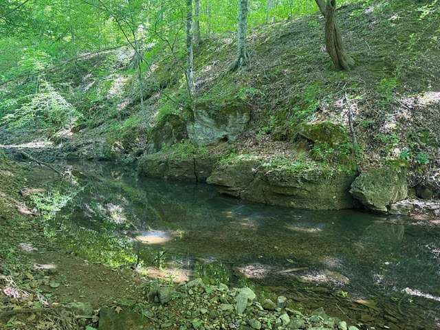 10 Acres of Residential Land for Sale in Dickson, Tennessee