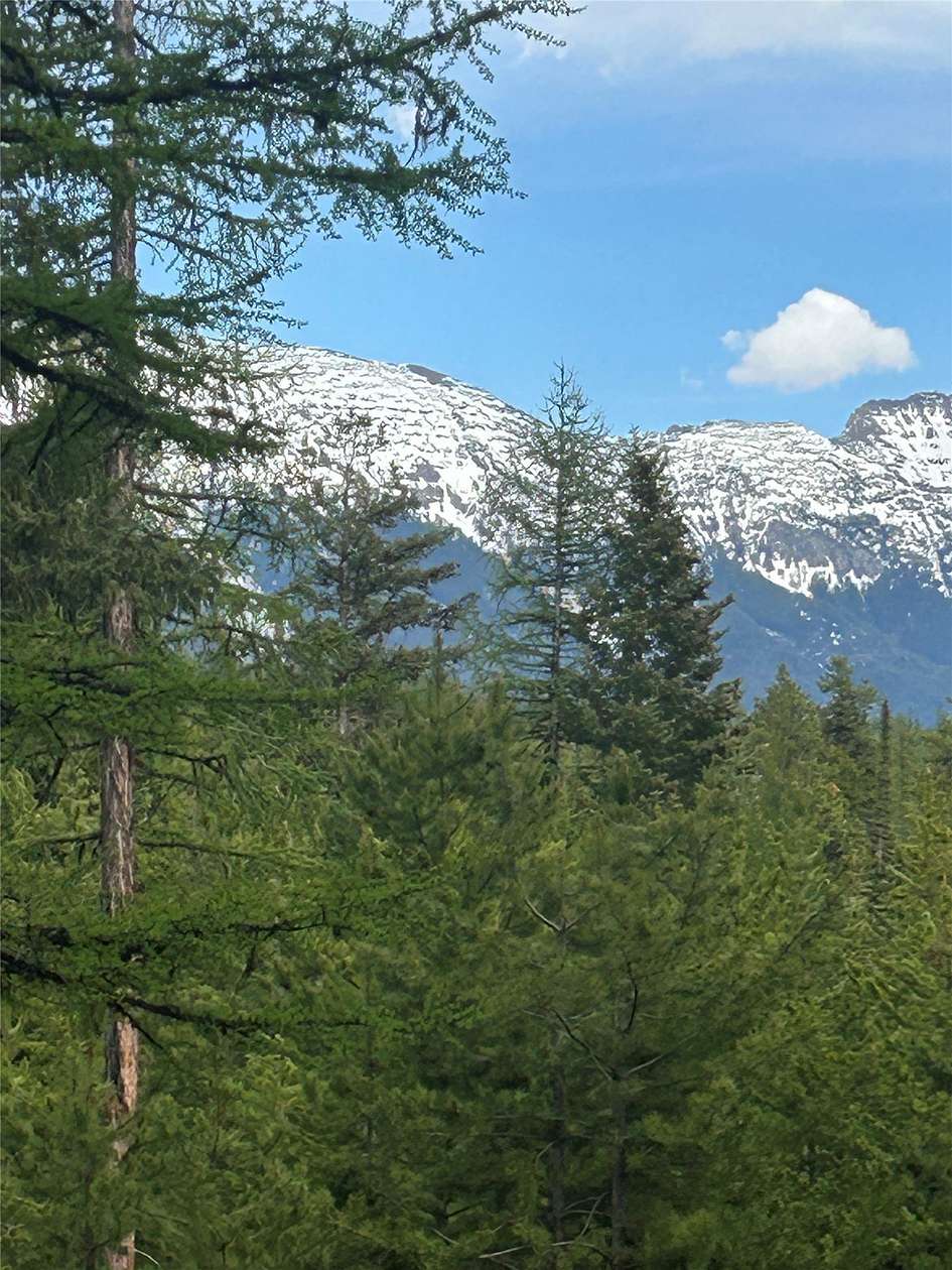 5 Acres of Land for Sale in Seeley Lake, Montana