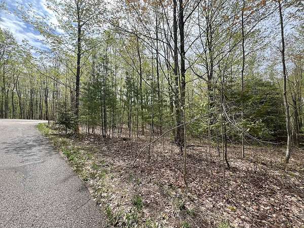 0.6 Acres of Residential Land for Sale in Petoskey, Michigan