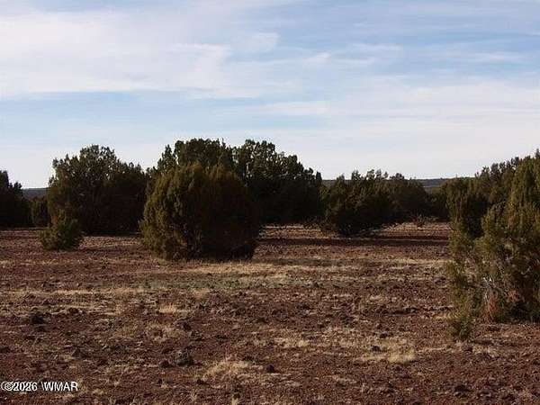 12 Acres of Land for Sale in Vernon, Arizona