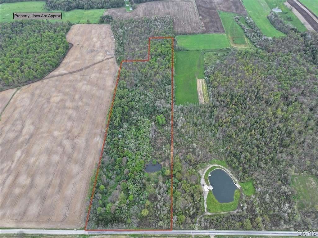 30.1 Acres of Recreational & Residential Land for Sale in Conewango Valley, New York