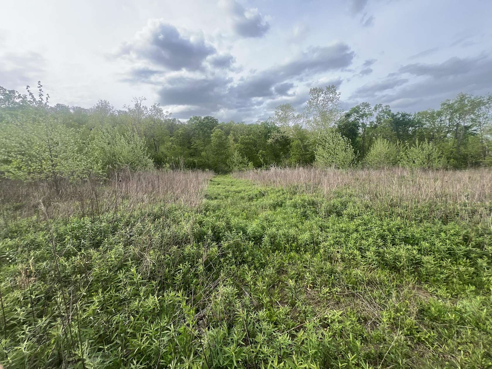 7 Acres of Residential Land for Sale in Mansfield, Missouri