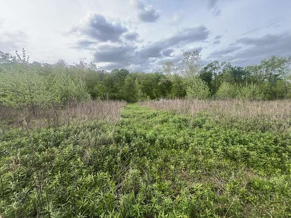 7 Acres of Residential Land for Sale in Mansfield, Missouri