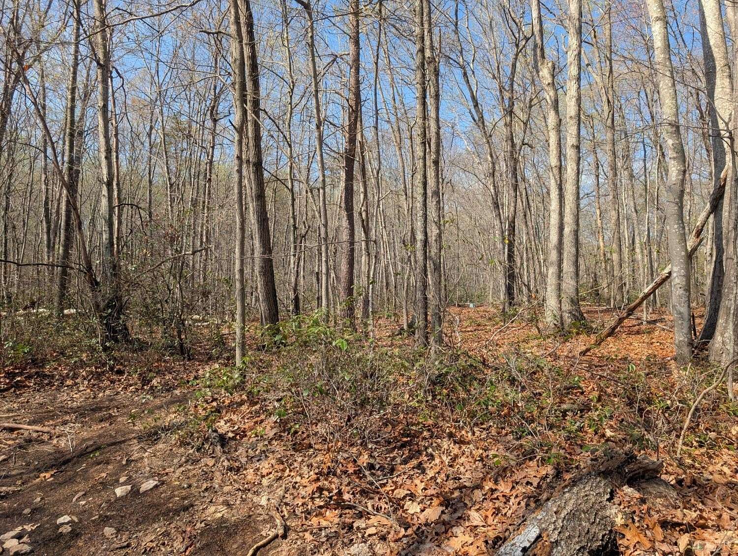 9 Acres of Residential Land for Sale in Madison Heights, Virginia