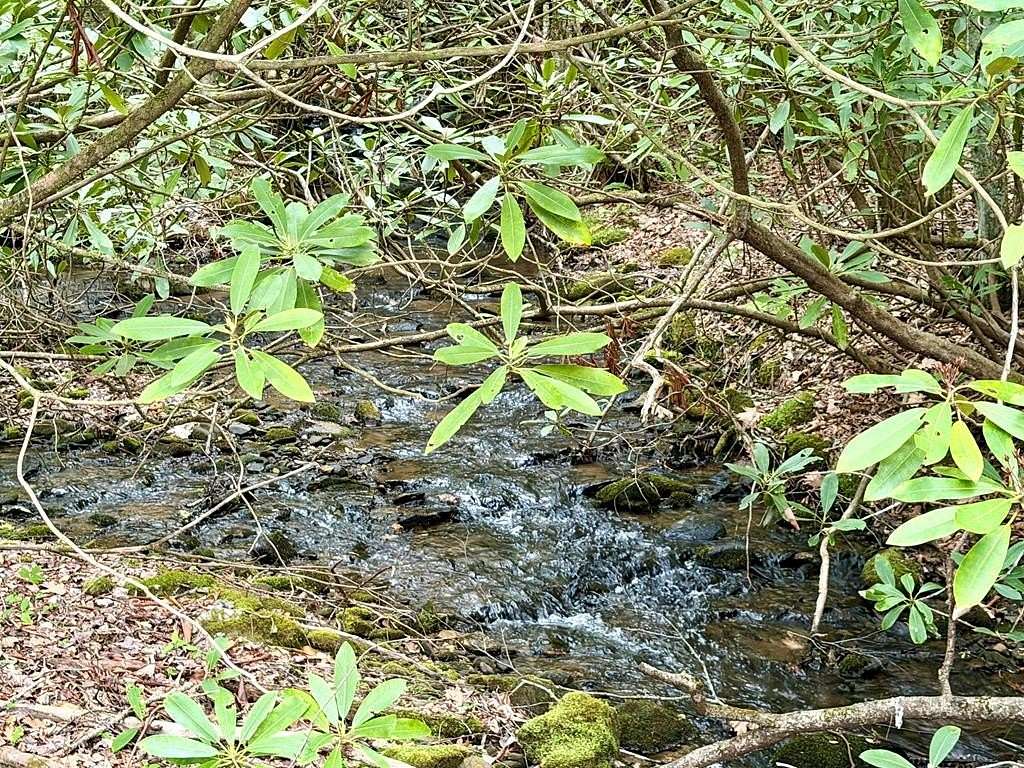 Residential Land for Sale in Andrews, North Carolina