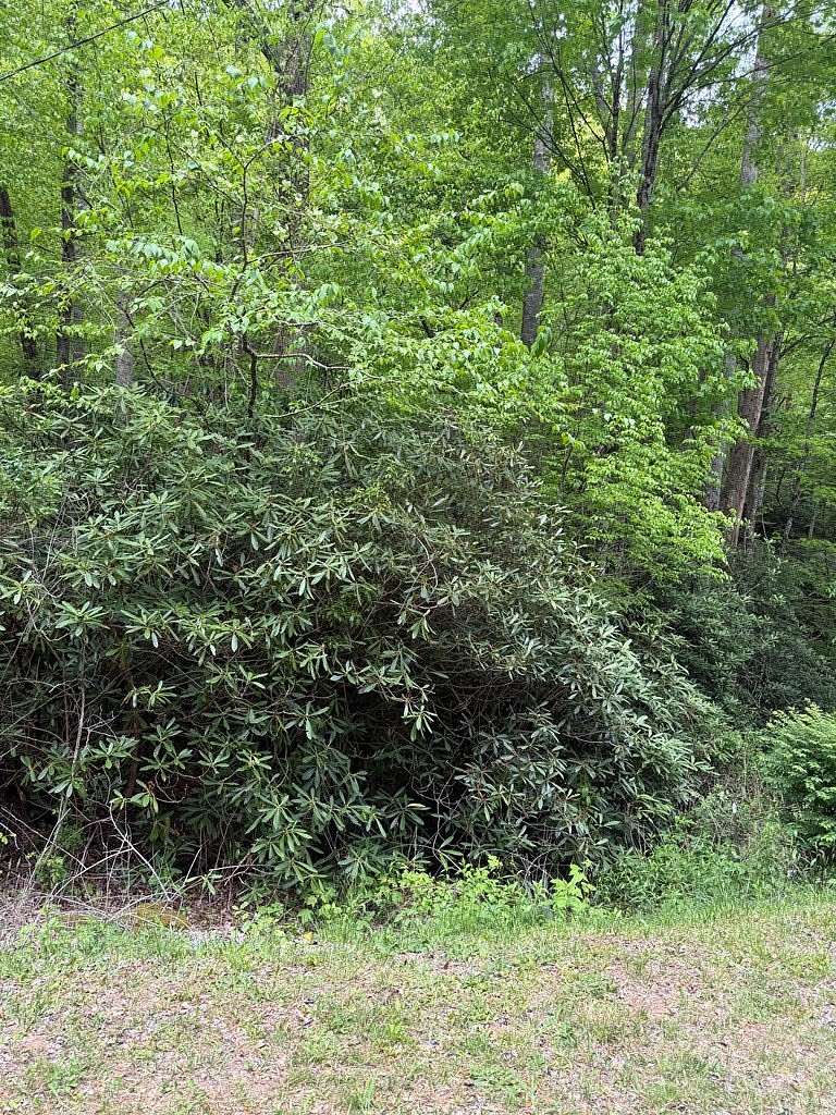 2.18 Acres of Residential Land for Sale in Andrews, North Carolina