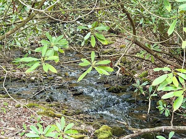 Residential Land for Sale in Andrews, North Carolina