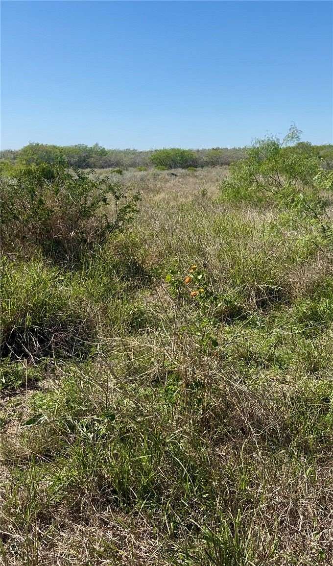 10 Acres of Recreational Land for Sale in San Diego, Texas