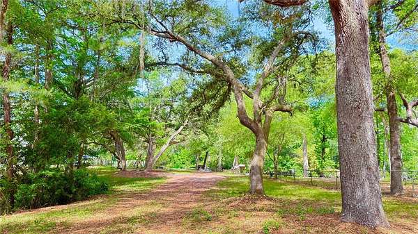 0.97 Acres of Land for Sale in Middleburg, Florida