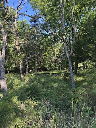 0.4 Acres of Residential Land for Sale in Golden, Missouri