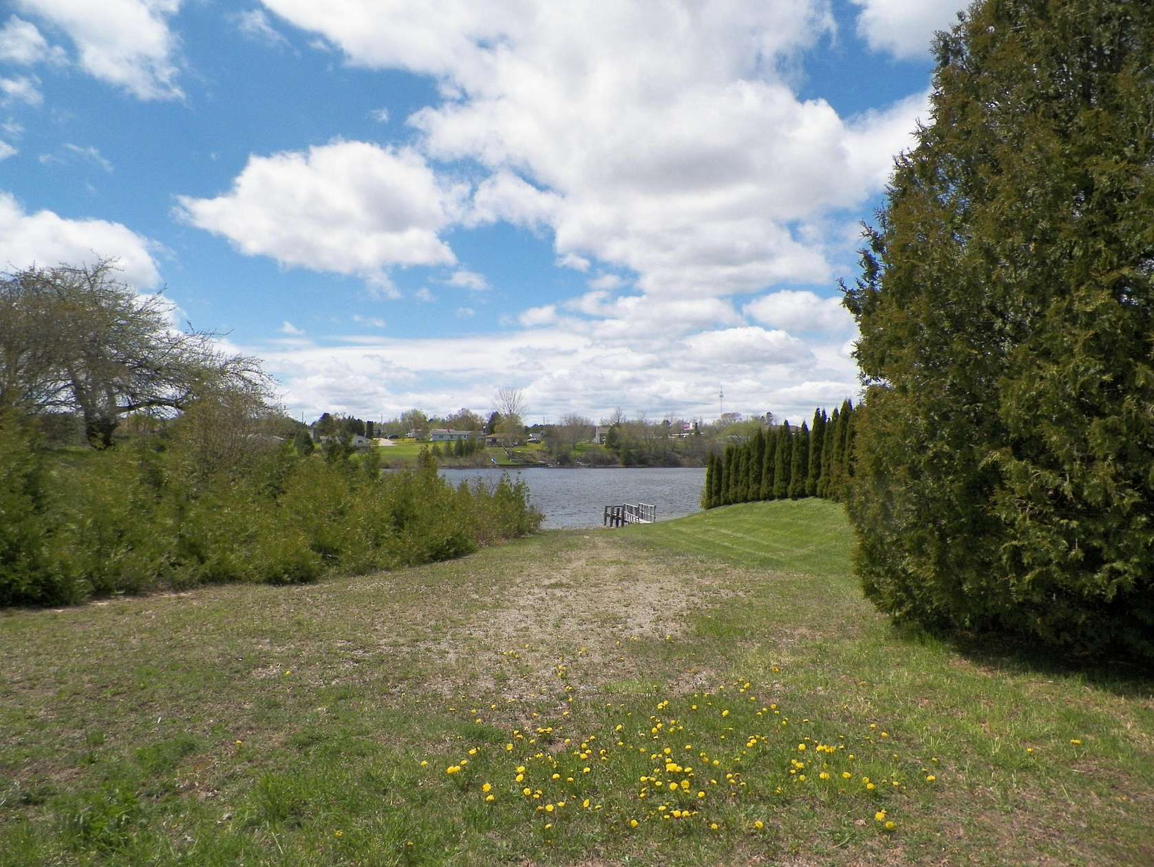 33 Acres of Agricultural & Residential Land for Sale in Cheboygan, Michigan