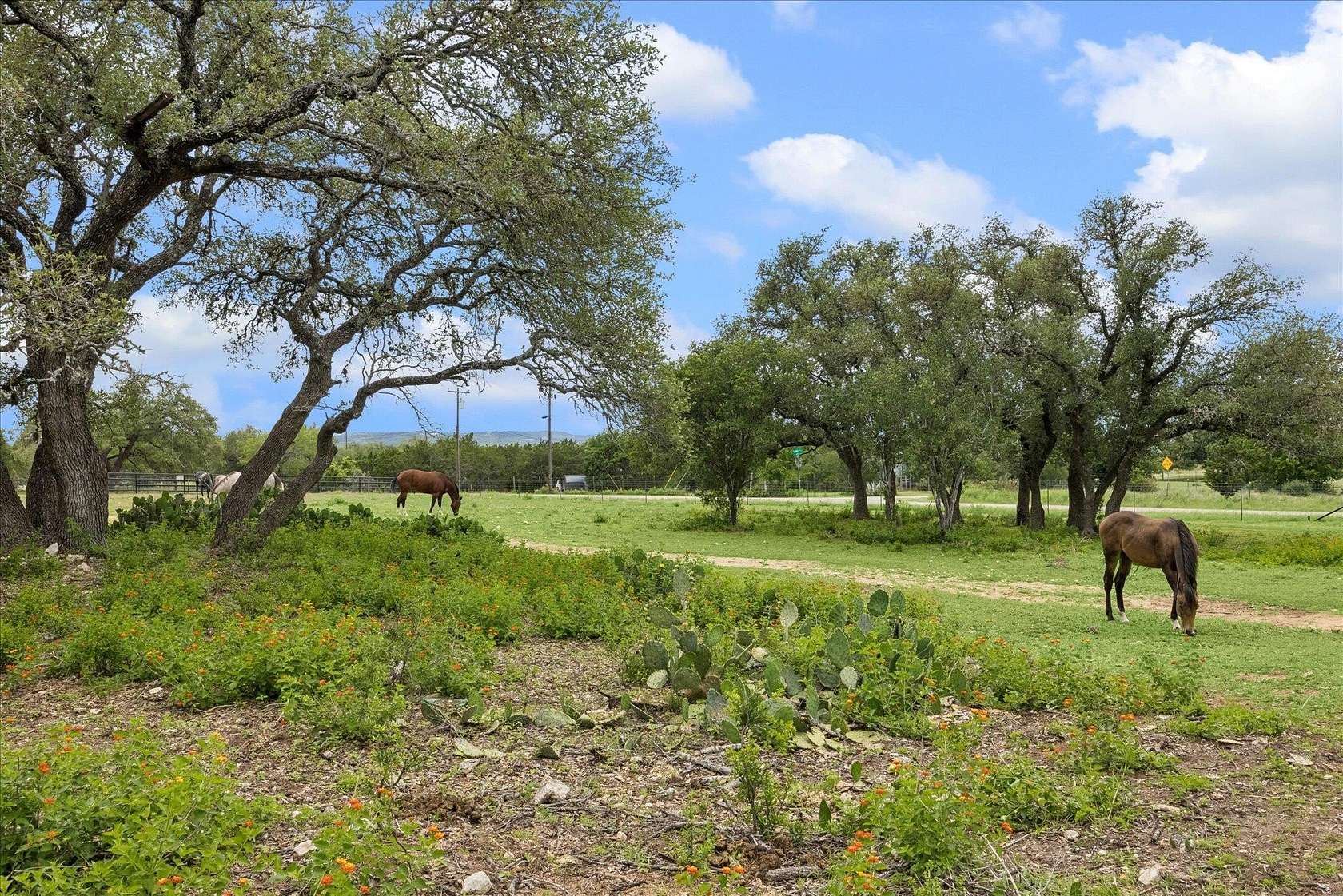 19.8 Acres of Land with Home for Sale in Dripping Springs, Texas