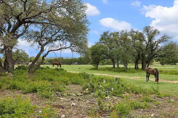 19.8 Acres of Land with Home for Sale in Dripping Springs, Texas