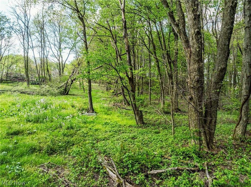 11 Acres of Recreational Land for Auction in Dundee, Ohio