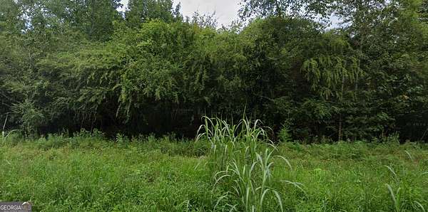 4.84 Acres of Residential Land for Sale in Summerville, Georgia