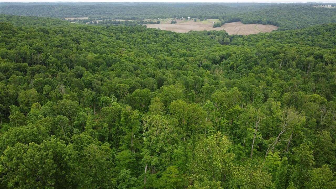 48 Acres of Recreational Land for Sale in Elkton, Kentucky