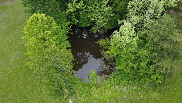 94 Acres of Recreational Land for Sale in Princeton, Kentucky