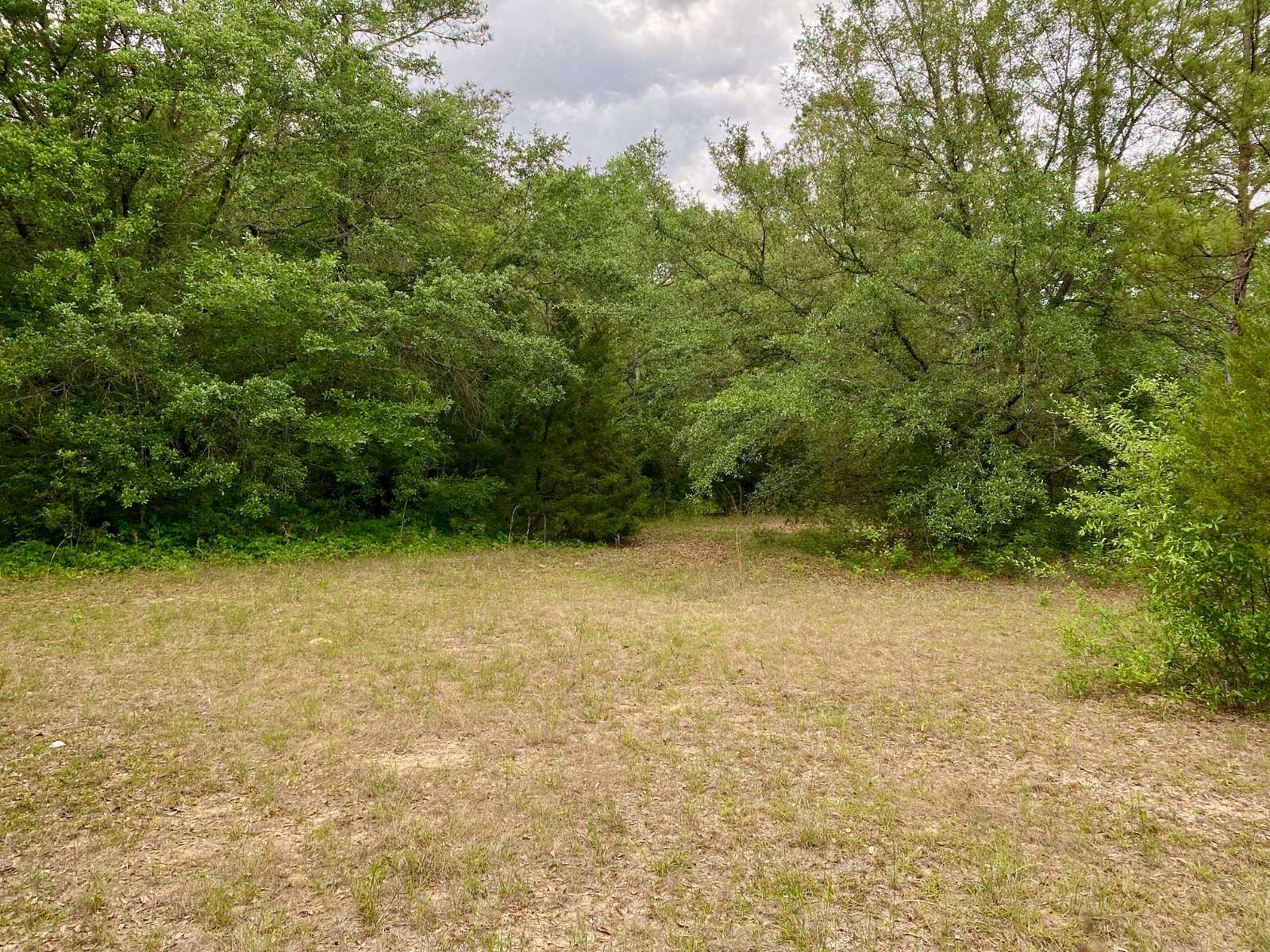 3 Acres of Residential Land for Sale in Hartford, Alabama
