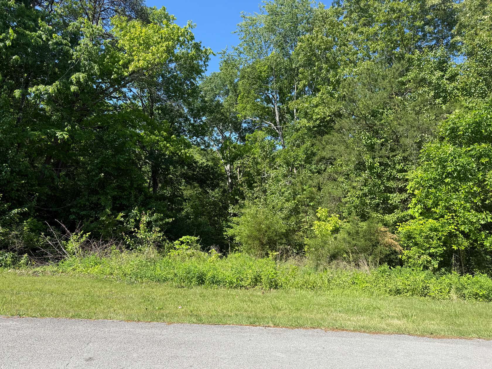1.1 Acres of Residential Land for Sale in Liberty, Kentucky