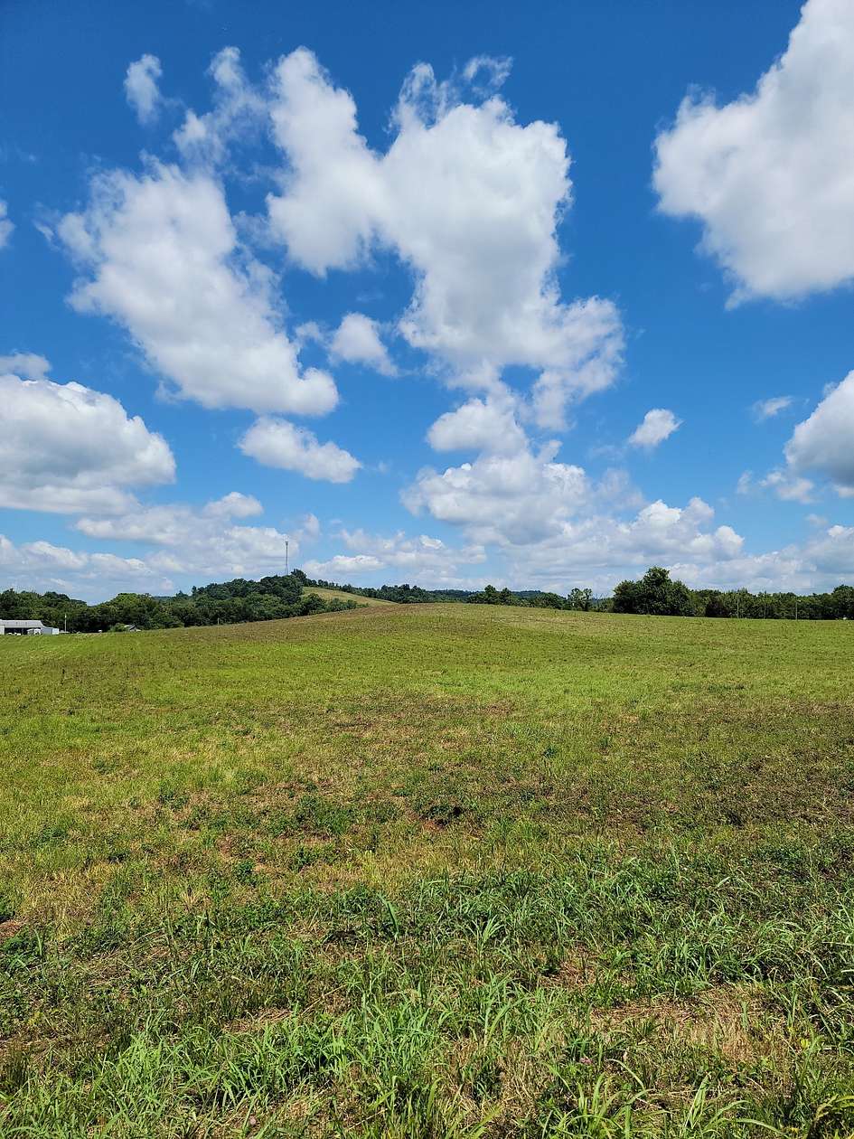 1.25 Acres of Residential Land for Auction in Beechgrove, Tennessee