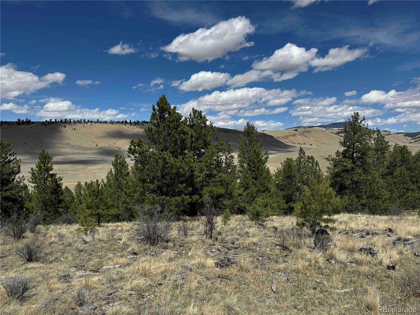 20 Acres of Recreational & Residential Land for Sale in Cañon City, Colorado