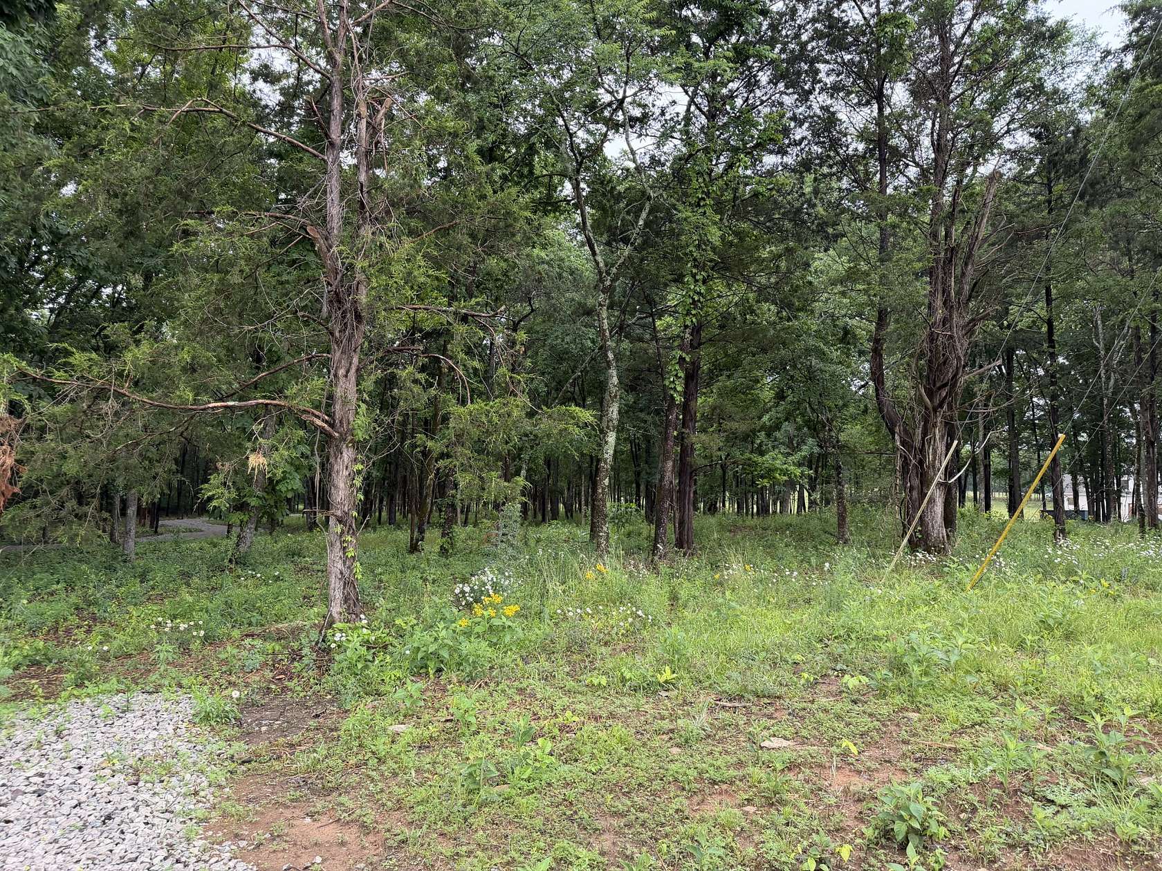 5.53 Acres of Residential Land for Sale in Chapel Hill, Tennessee