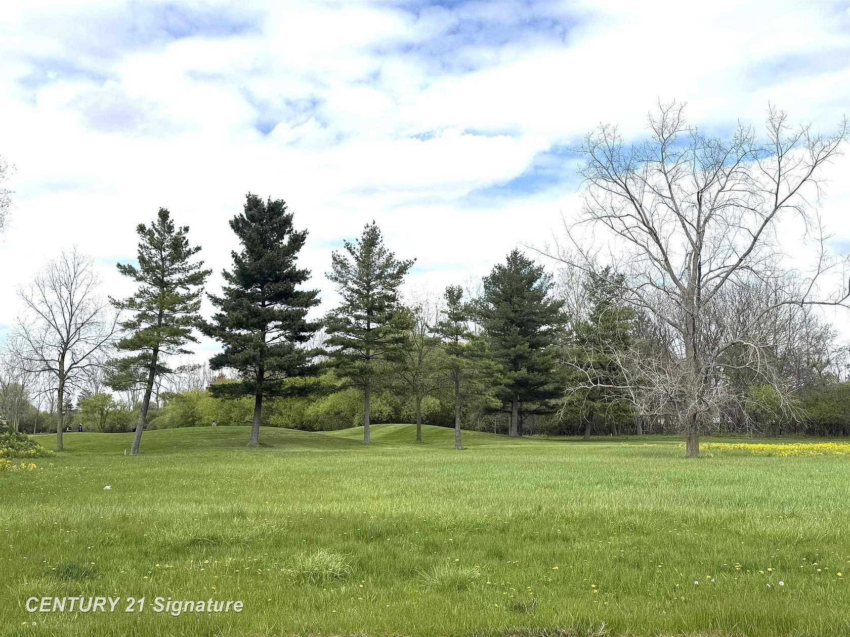0.53 Acres of Residential Land for Sale in Saginaw, Michigan