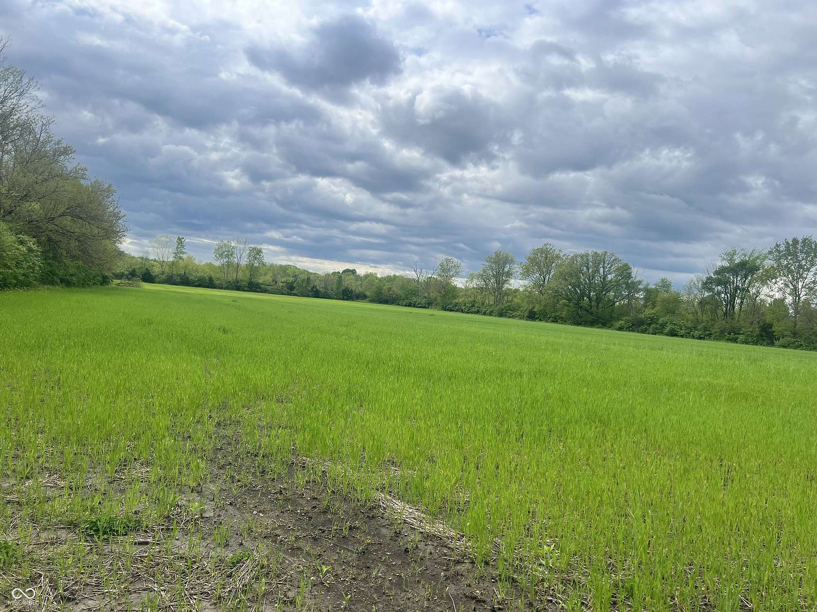 5.58 Acres of Mixed-Use Land for Sale in Indianapolis, Indiana