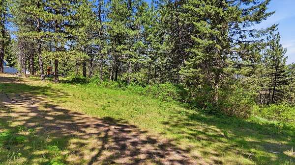 10.7 Acres of Land for Sale in Rockford, Washington