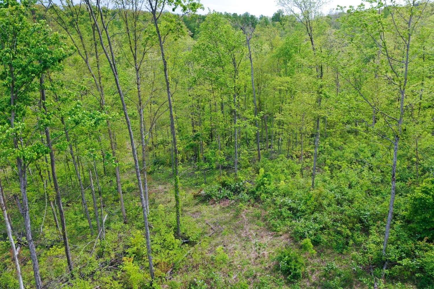 24.6 Acres of Land for Sale in Laurel, Indiana