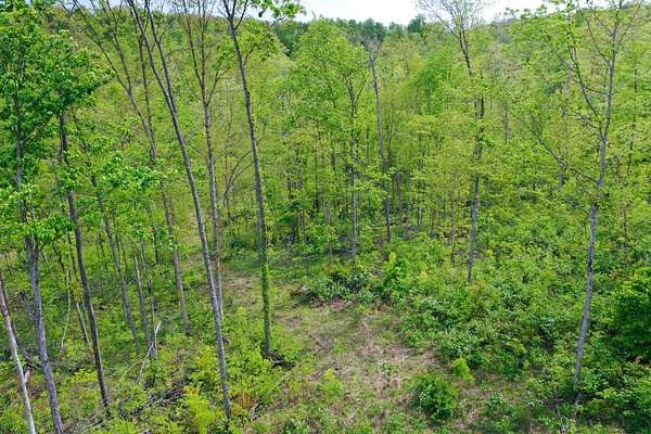 24.6 Acres of Land for Sale in Laurel, Indiana