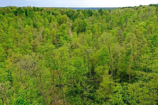 37 Acres of Land for Sale in Laurel, Indiana