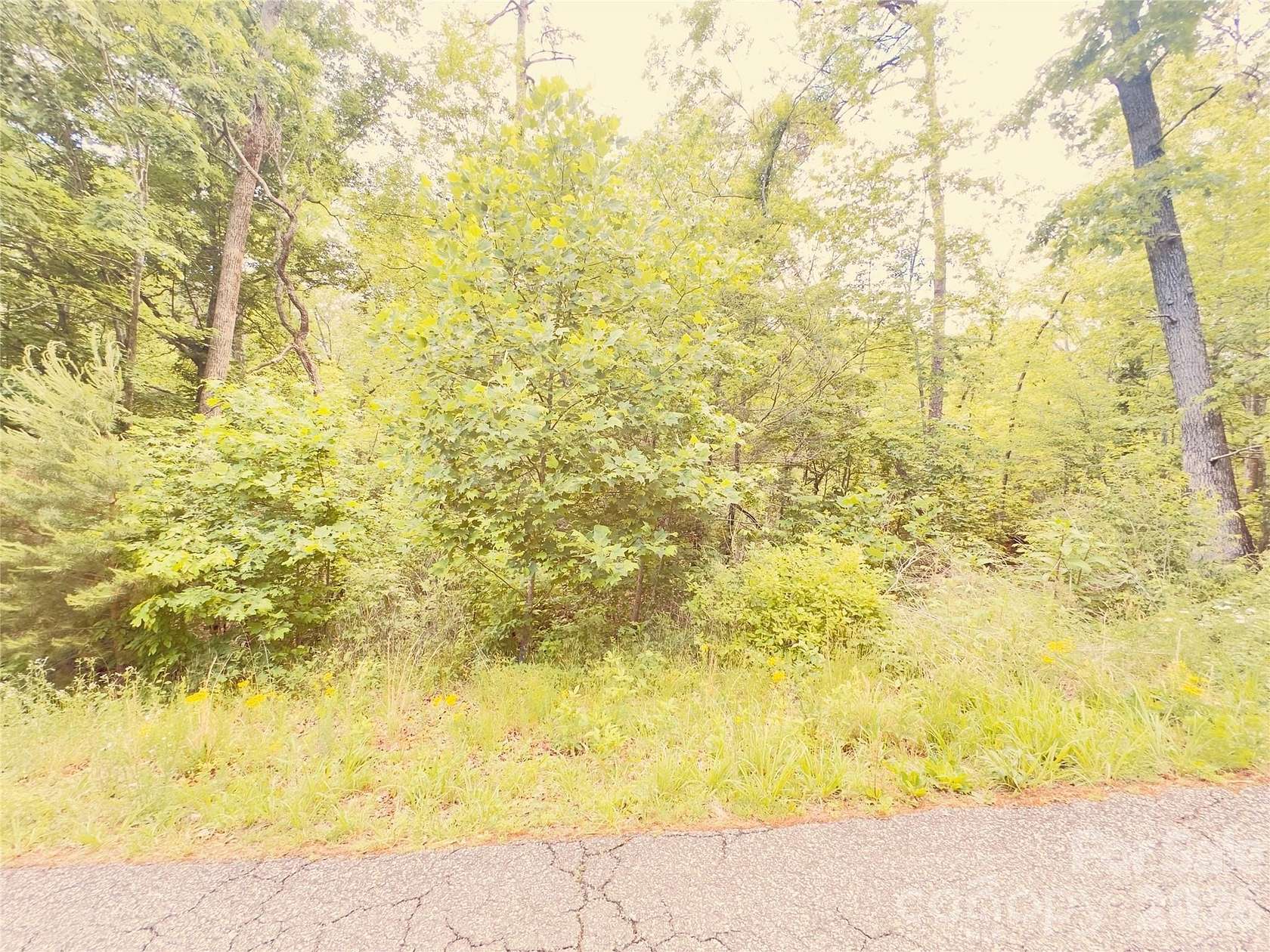3 Acres of Residential Land for Sale in Nebo, North Carolina