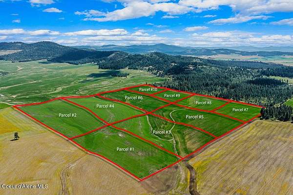 160 Acres of Land for Sale in Plummer, Idaho