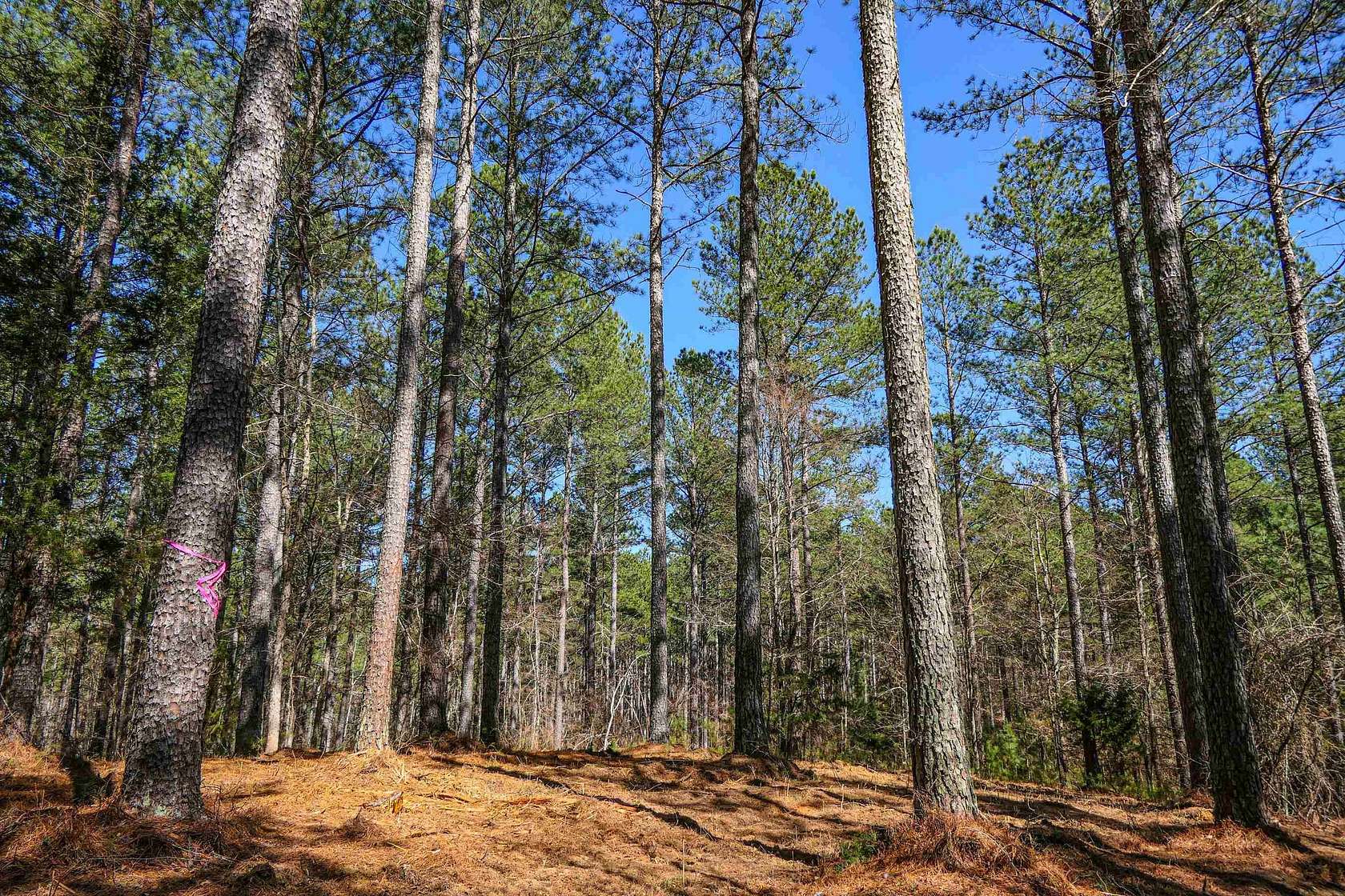8.4 Acres of Residential Land for Sale in Pacolet, South Carolina