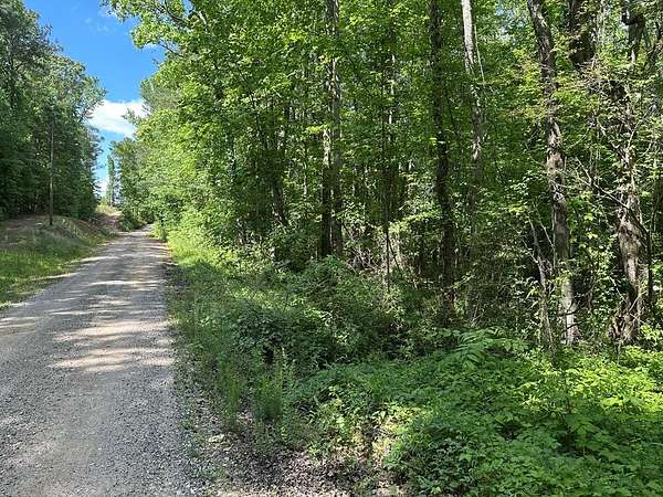 Land for Sale in Heflin, Alabama