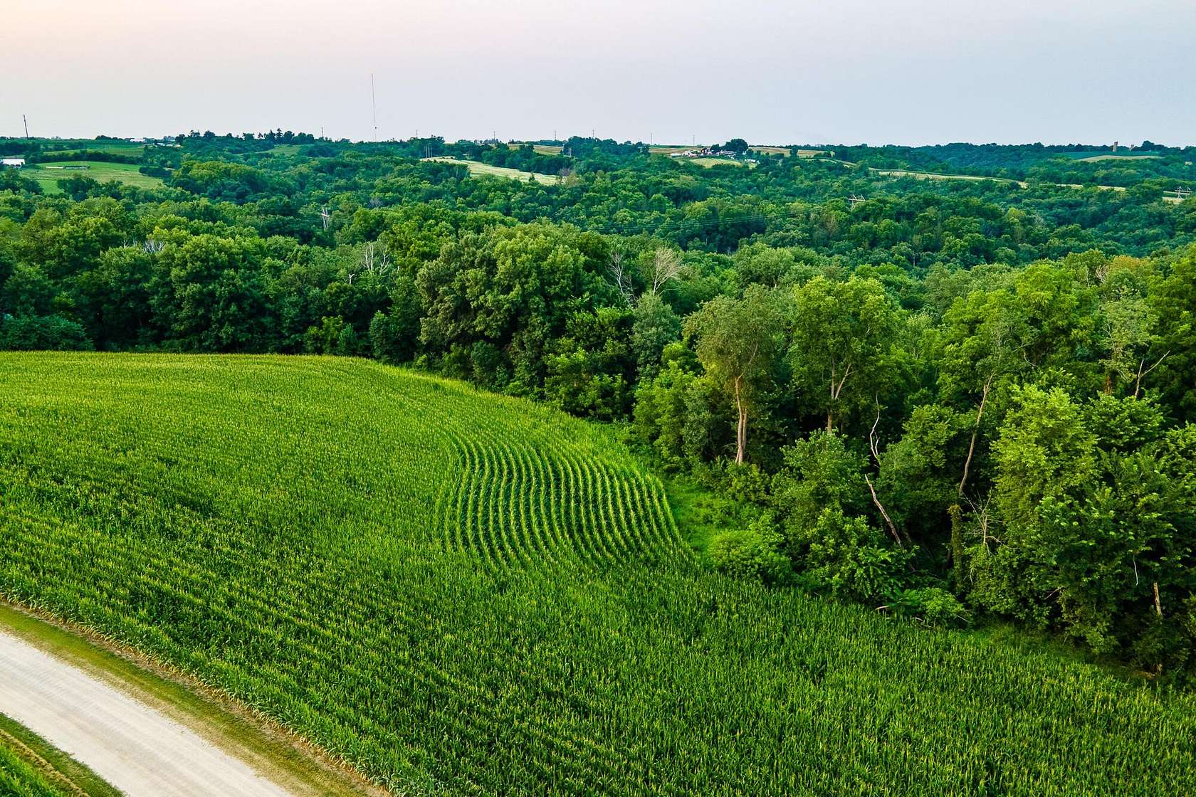 20.5 Acres of Land for Sale in Cassville, Wisconsin
