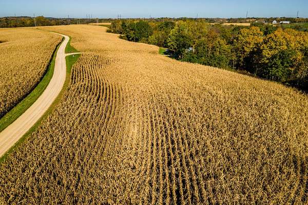 20.5 Acres of Land for Sale in Cassville, Wisconsin