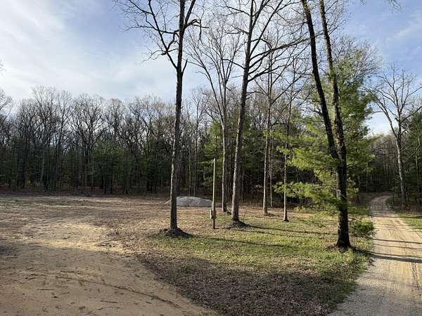 1 Acre of Land for Sale in Newaygo, Michigan