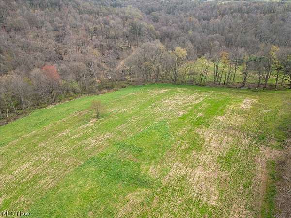 13.4 Acres of Recreational & Residential Land for Auction in Dundee, Ohio