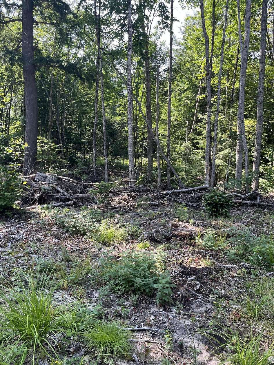 20 Acres of Recreational Land for Sale in Hulbert, Michigan