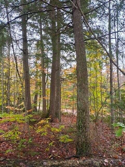 20 Acres of Recreational Land for Sale in Paradise, Michigan