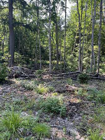 20 Acres of Recreational Land for Sale in Hulbert, Michigan