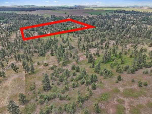 20 Acres of Recreational Land for Sale in Cheney, Washington